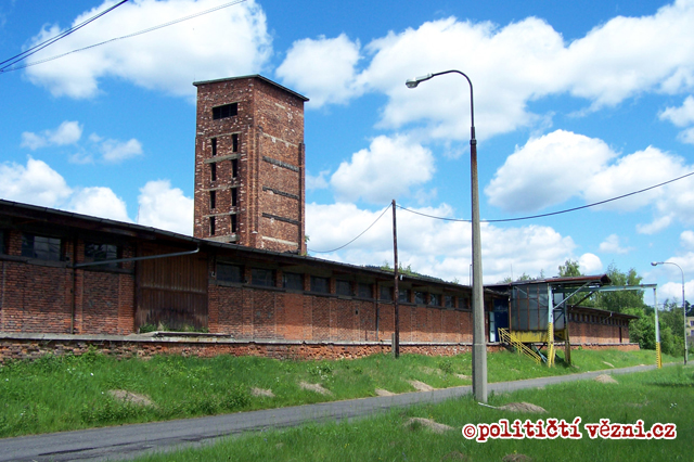 The Fate of Czechoslovak Political Prisoners after Release